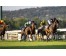  Carrera: P.Alberto Domper Caballo: Eolo Monta: D.Sikorova